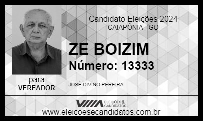 Candidato ZE BOIZIM 2024 - CAIAPÔNIA - Eleições