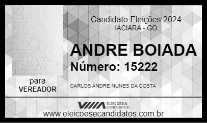 Candidato ANDRE BOIADA 2024 - IACIARA - Eleições