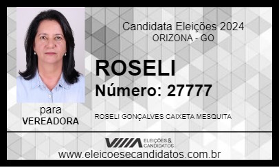 Candidato ROSELI 2024 - ORIZONA - Eleições