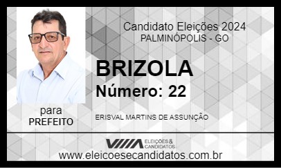 Candidato BRIZOLA 2024 - PALMINÓPOLIS - Eleições