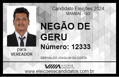 Candidato NEGÃO DE GERU 2024 - MAMBAÍ - Eleições