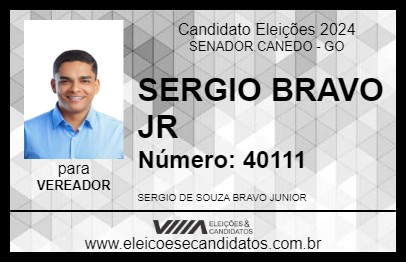 Candidato SERGIO BRAVO JR 2024 - SENADOR CANEDO - Eleições