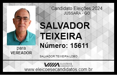 Candidato SALVADOR TEIXEIRA 2024 - JUSSARA - Eleições