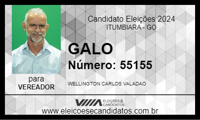 Candidato GALO 2024 - ITUMBIARA - Eleições