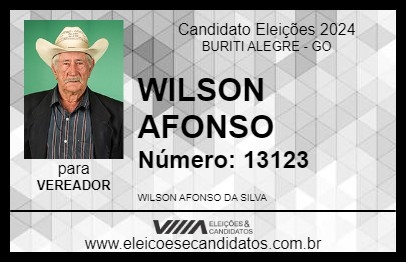 Candidato WILSON AFONSO 2024 - BURITI ALEGRE - Eleições