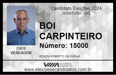 Candidato BOI CARPINTEIRO 2024 - GOIATUBA - Eleições