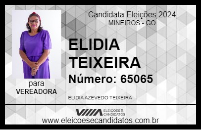 Candidato ELIDIA TEIXEIRA 2024 - MINEIROS - Eleições