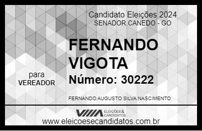 Candidato FERNANDO VIGOTA 2024 - SENADOR CANEDO - Eleições