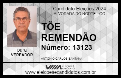 Candidato TÕE REMENDÃO 2024 - ALVORADA DO NORTE - Eleições