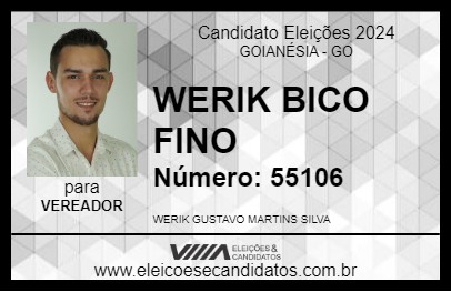 Candidato WERIK BICO FINO 2024 - GOIANÉSIA - Eleições