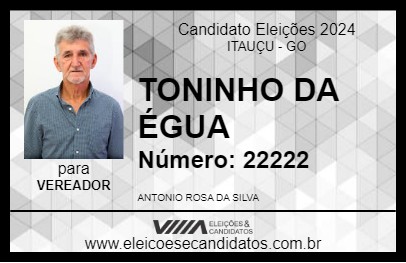 Candidato TONINHO DA ÉGUA 2024 - ITAUÇU - Eleições