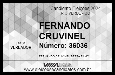 Candidato FERNANDO CRUVINEL 2024 - RIO VERDE - Eleições