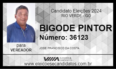 Candidato BIGODE PINTOR 2024 - RIO VERDE - Eleições