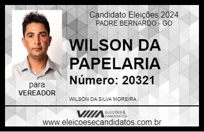 Candidato WILSON DA PAPELARIA 2024 - PADRE BERNARDO - Eleições