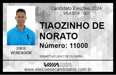 Candidato TIAOZINHO DE NORATO 2024 - VILA BOA - Eleições