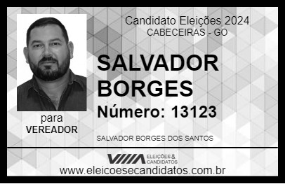 Candidato SALVADOR BORGES 2024 - CABECEIRAS - Eleições