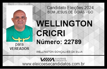 Candidato WELLINGTON CRICRI 2024 - BOM JESUS DE GOIÁS - Eleições