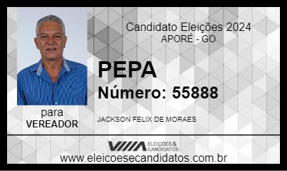 Candidato PEPA 2024 - APORÉ - Eleições