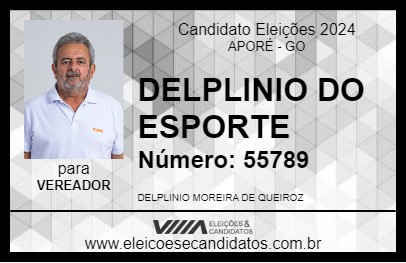 Candidato DELPLINIO 2024 - APORÉ - Eleições