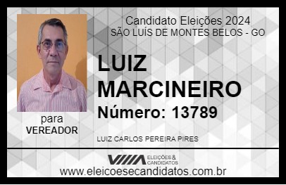 Candidato LUIZ MARCENEIRO 2024 - SÃO LUÍS DE MONTES BELOS - Eleições