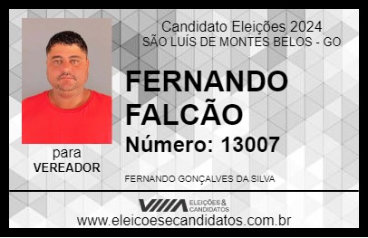 Candidato FERNANDO FALCÃO 2024 - SÃO LUÍS DE MONTES BELOS - Eleições