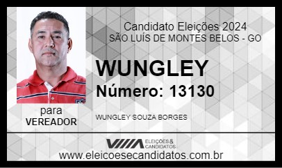 Candidato WUNGLEY PINTOR 2024 - SÃO LUÍS DE MONTES BELOS - Eleições