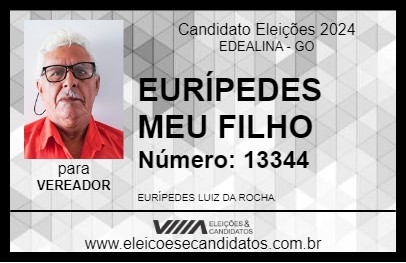 Candidato EURÍPEDES MEU FILHO 2024 - EDEALINA - Eleições