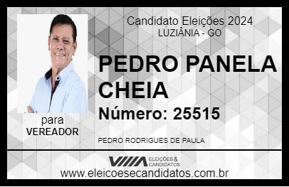 Candidato PEDRO PANELA CHEIA 2024 - LUZIÂNIA - Eleições