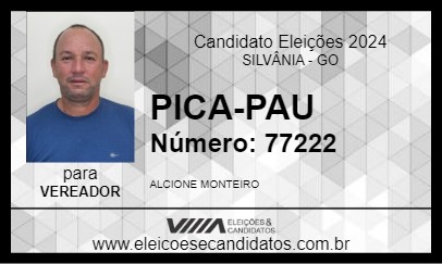 Candidato PICA-PAU 2024 - SILVÂNIA - Eleições