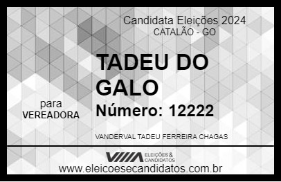 Candidato TADEU DO GALO 2024 - CATALÃO - Eleições