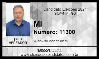 Candidato MI 2024 - SILVÂNIA - Eleições