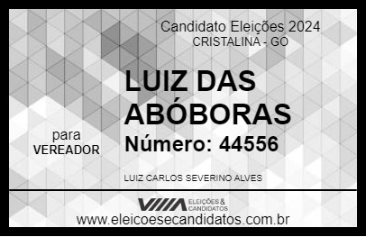 Candidato LUIZ DAS ABÓBORAS 2024 - CRISTALINA - Eleições