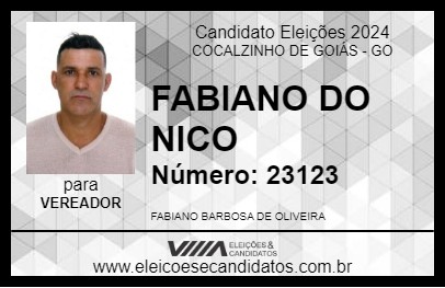 Candidato FABIANO DO NICO 2024 - COCALZINHO DE GOIÁS - Eleições