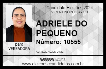 Candidato ADRIELE DO PEQUENO 2024 - VICENTINÓPOLIS - Eleições