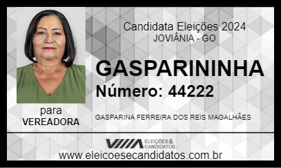 Candidato GASPARININHA 2024 - JOVIÂNIA - Eleições