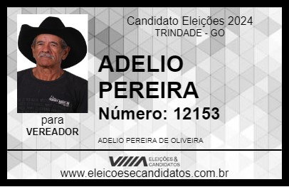 Candidato ADELIO PEREIRA 2024 - TRINDADE - Eleições