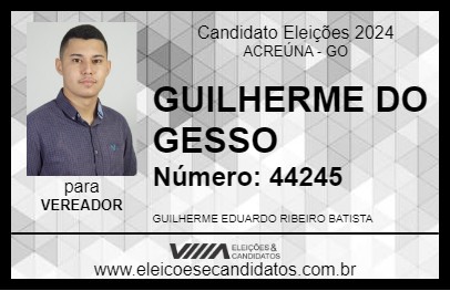 Candidato GUILHERME GESSEIRO 2024 - ACREÚNA - Eleições