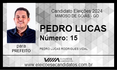 Candidato PEDRO LUCAS 2024 - MIMOSO DE GOIÁS - Eleições