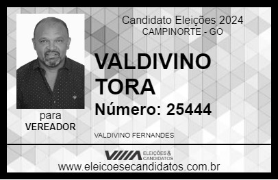 Candidato VALDIVINO TORA 2024 - CAMPINORTE - Eleições