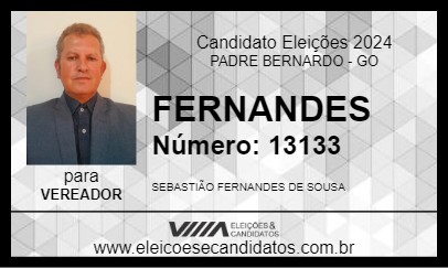 Candidato FERNANDES 2024 - PADRE BERNARDO - Eleições