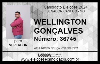 Candidato WELLINGTON GONÇALVES 2024 - SENADOR CANEDO - Eleições