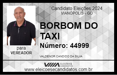 Candidato BORBOM DO TAXI 2024 - VIANÓPOLIS - Eleições