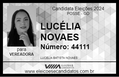 Candidato LUCÉLIA NOVAES 2024 - POSSE - Eleições