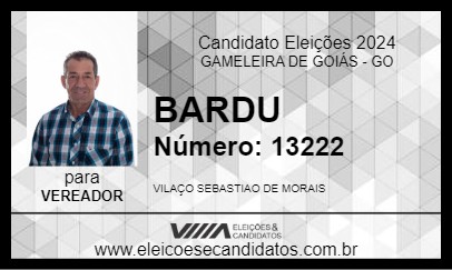 Candidato BARDU 2024 - GAMELEIRA DE GOIÁS - Eleições