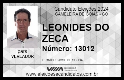 Candidato LEONIDES DO ZECA 2024 - GAMELEIRA DE GOIÁS - Eleições