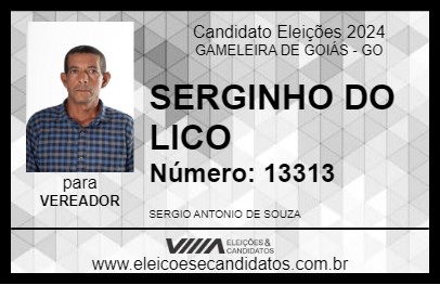 Candidato SERGINHO DO LICO 2024 - GAMELEIRA DE GOIÁS - Eleições