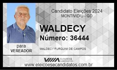 Candidato WALDECY 2024 - MONTIVIDIU - Eleições