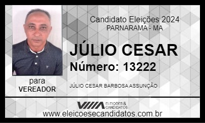 Candidato JÚLIO CESAR 2024 - PARNARAMA - Eleições