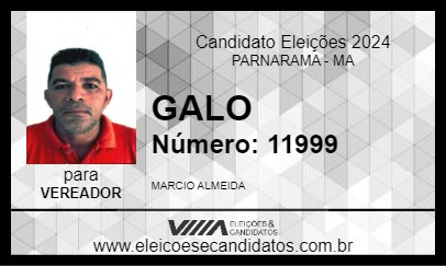 Candidato GALO 2024 - PARNARAMA - Eleições