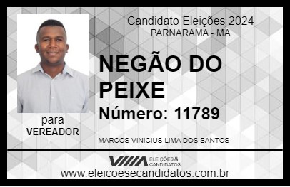 Candidato NEGÃO DO PEIXE 2024 - PARNARAMA - Eleições